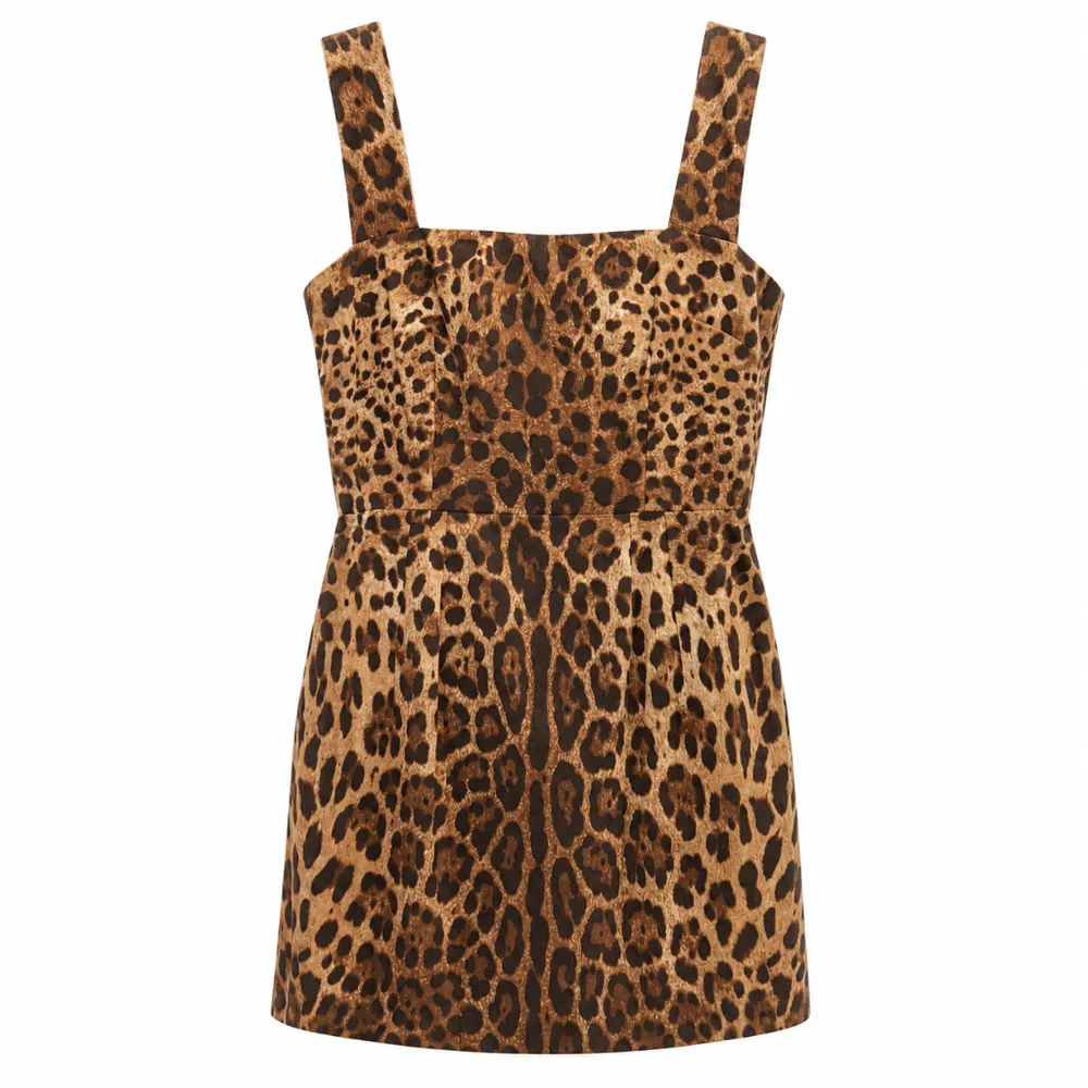 Dolce & Gabbana Dress Leopardato Brown